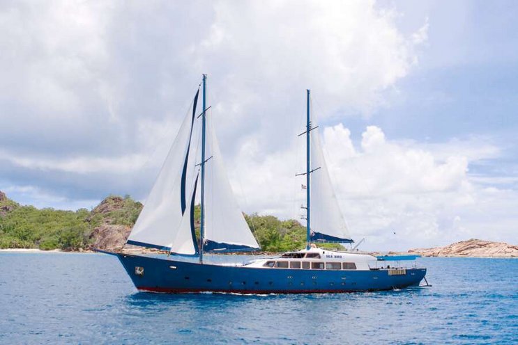 Silhouette Cruises Sea Star – Sea Bird