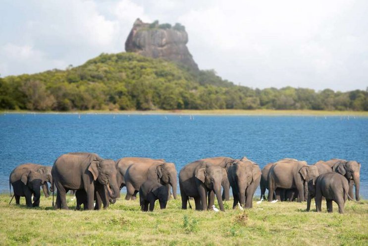 Sri Lanka entspannt geniessen