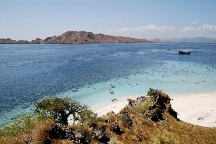 Komodo Resort & Diving Club