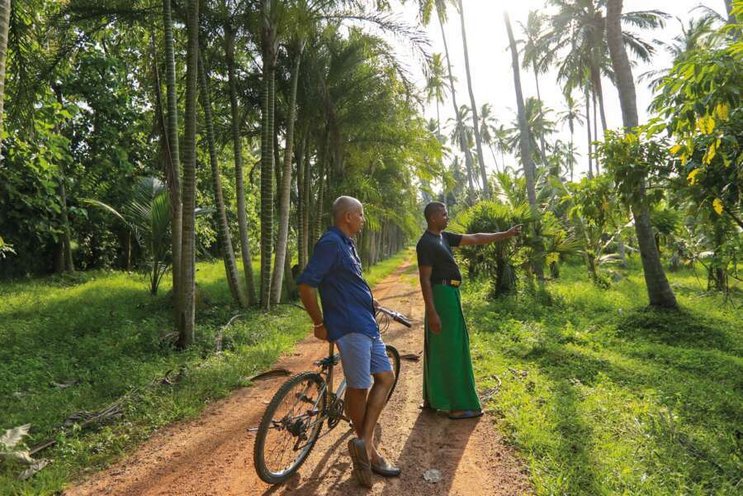 Horathapola Estate – Pannala