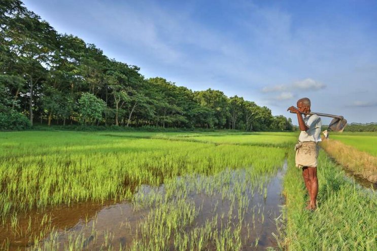 Sri Lanka authentisch