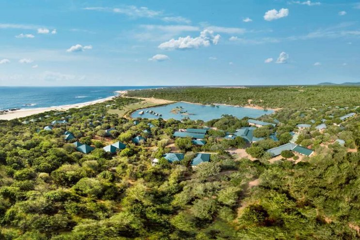 Cinnamon Wild – Yala