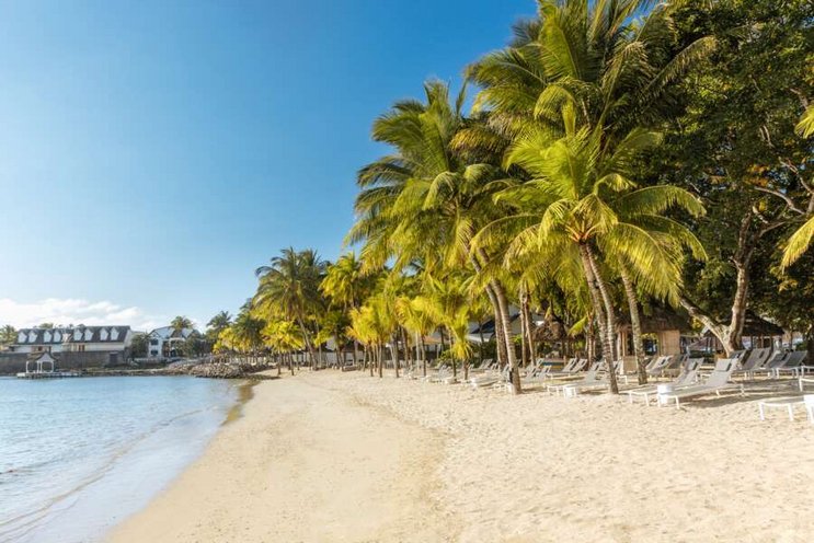 The Ravenala Attitude